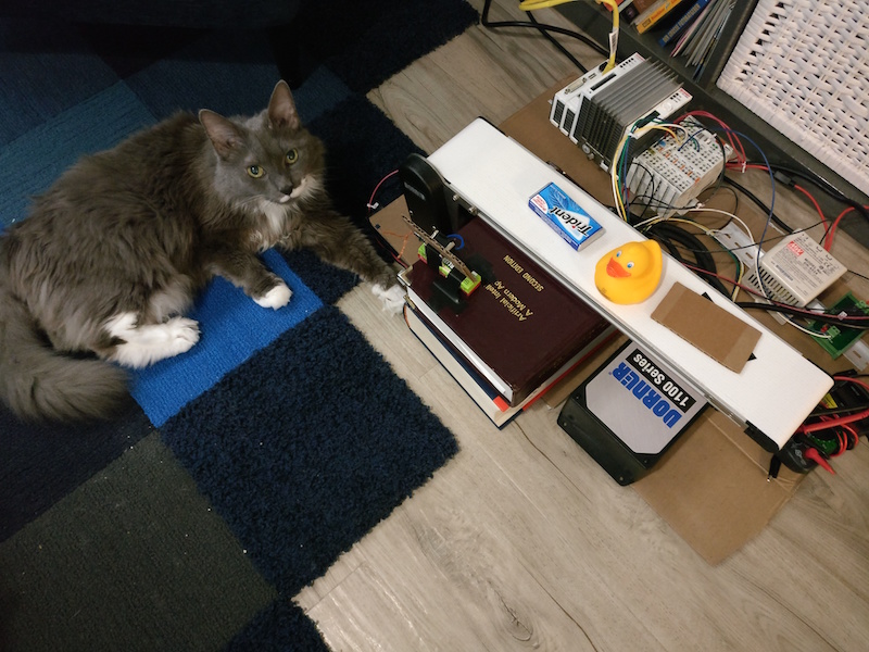 Prototype with Cat